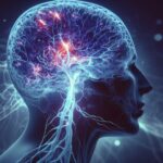 How Kratom Interacts with the Human Brain: Beyond the Myths